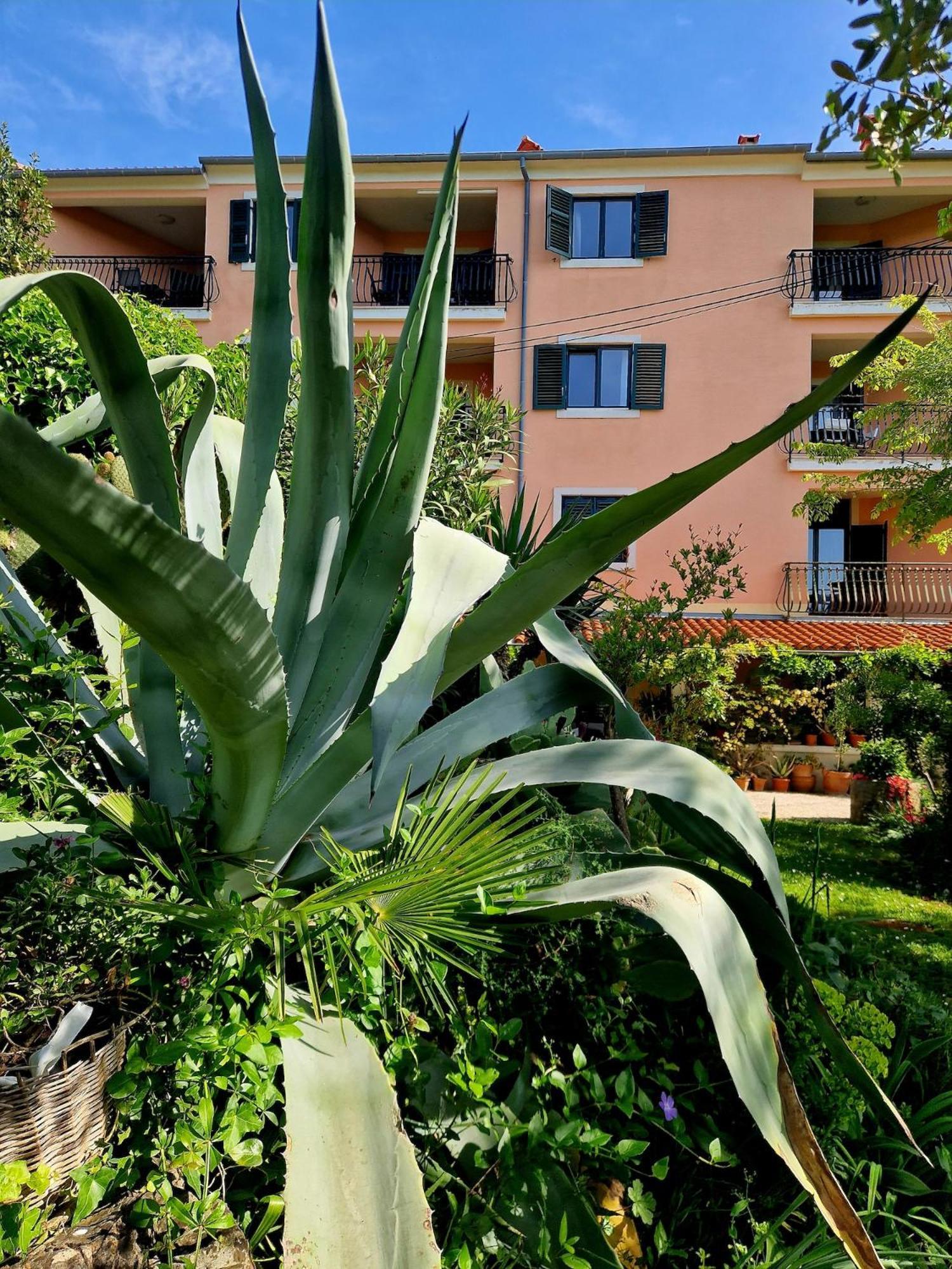 Villa Mareonda ロヴィニ エクステリア 写真